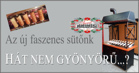 faszenes fb